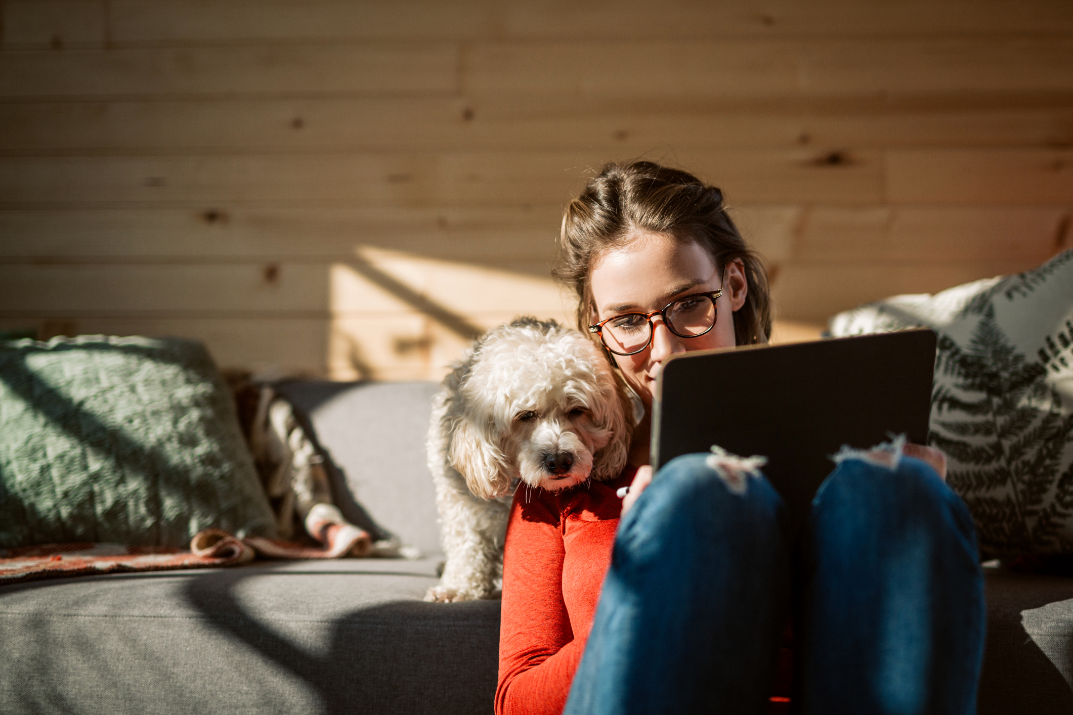 A person looks at a computer, with a dog looking over their shoulder