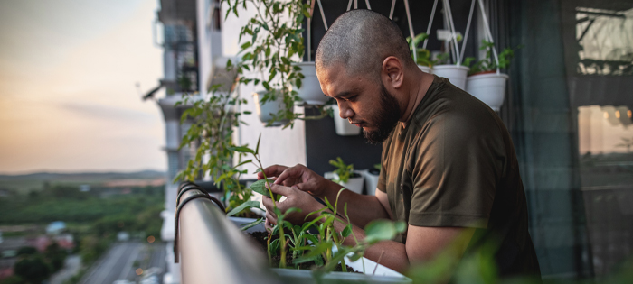 A person watering plants on their balcony