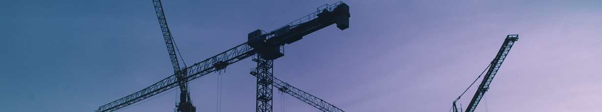 Cranes at dusk