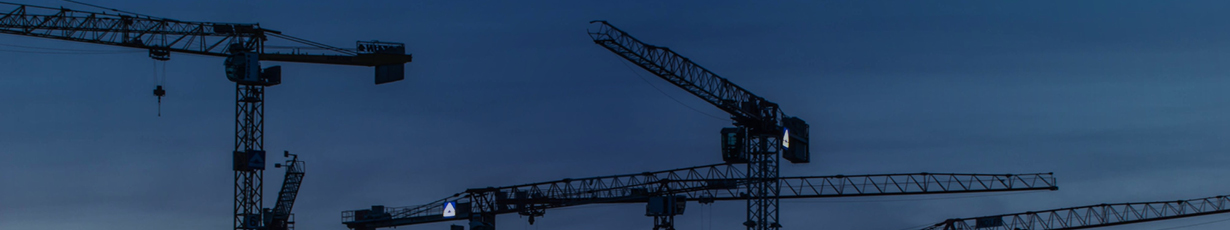 Cranes against a night sky